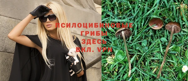 спиды Богородицк