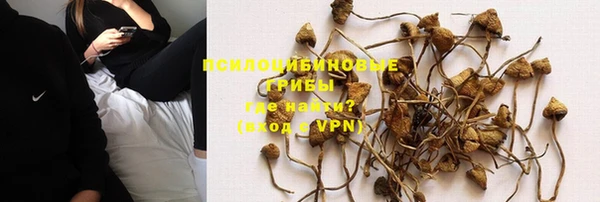 спиды Богородицк