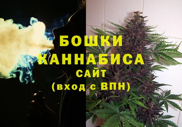 спиды Богородицк