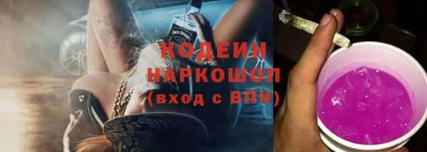 спиды Богородицк