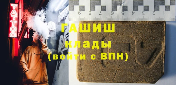 спиды Богородицк